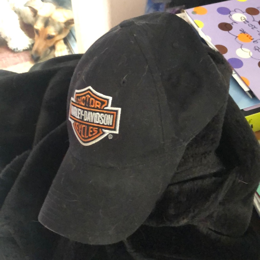 Authentic Harley Davidson Baseball Hat - image 1